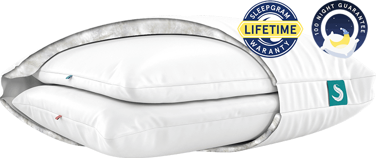 buy Sleepgram Pillows