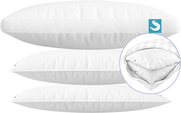 Sleepgram Pillows 24
